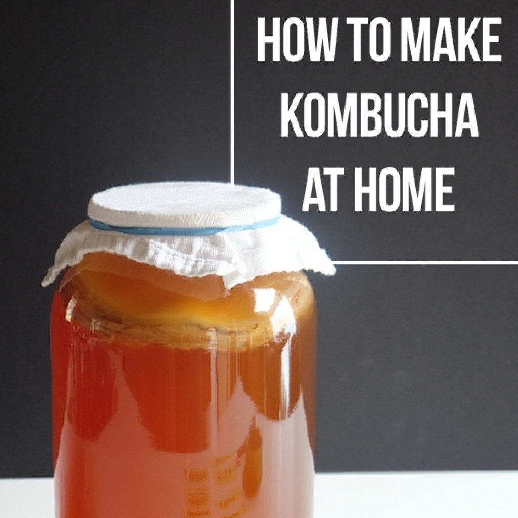 How to Make Kombucha At Home - Shutterbean