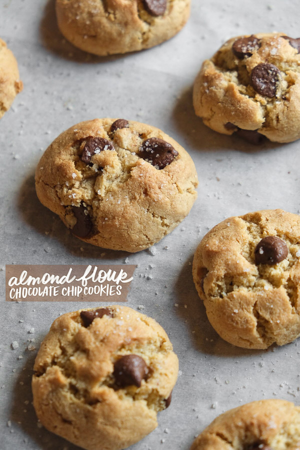 Almond Flour Chocolate Chip Cookies - Shutterbean