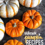 Shutterbean Favorite Pumpkin Recipes! A compliation of treats- recipes from Tracy Benjamin of Shutterbean.com