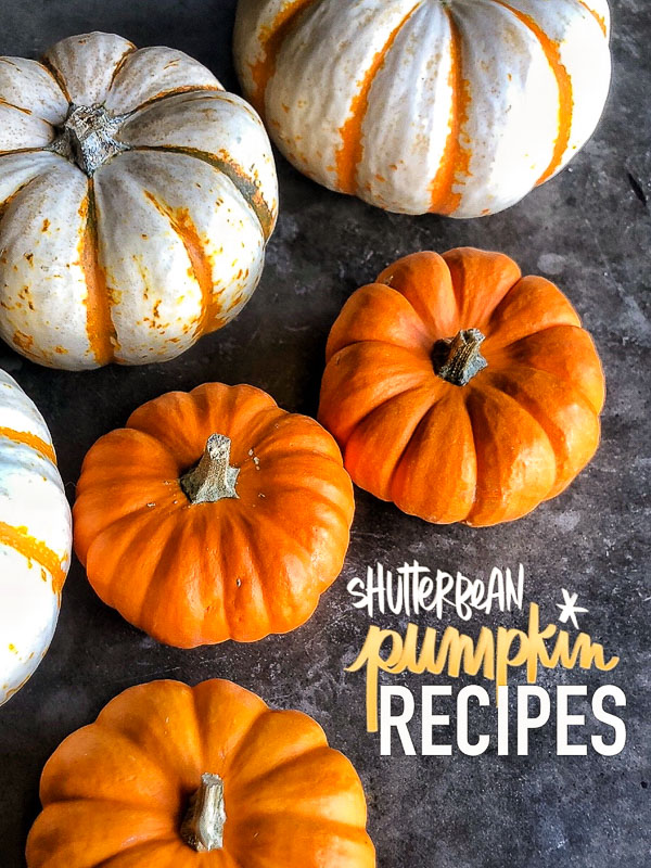 Shutterbean Favorite Pumpkin Recipes! A compliation of treats- recipes from Tracy Benjamin of Shutterbean.com